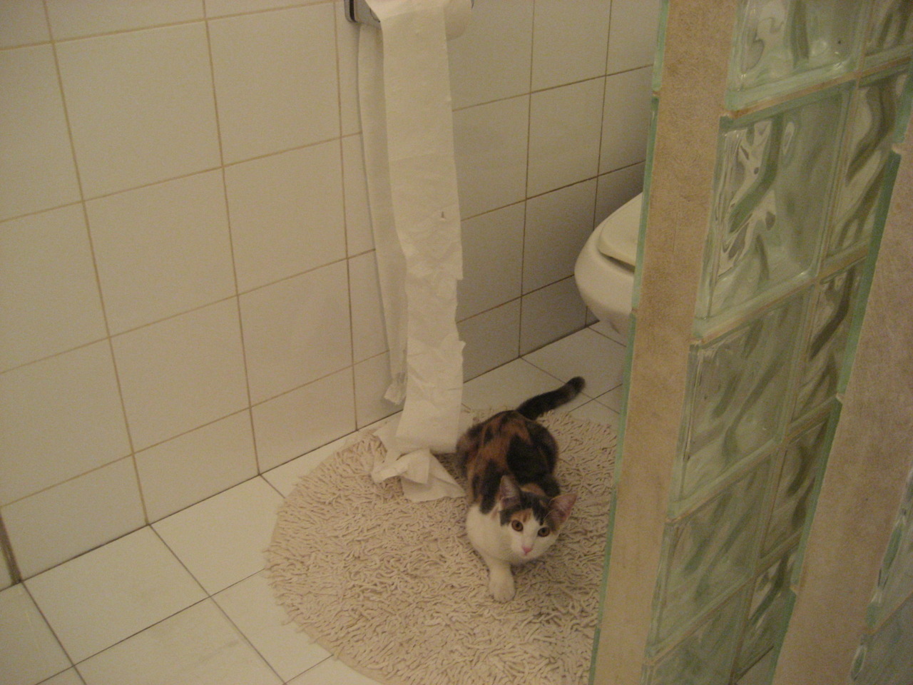 爱游戏app下载-全国跳绳锦标赛，儿童与青少年的运动热潮，全国跳绳大赛视频